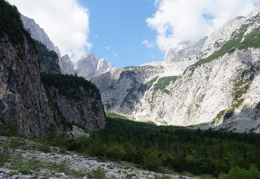 Dolina Tamar z razgledom na gore