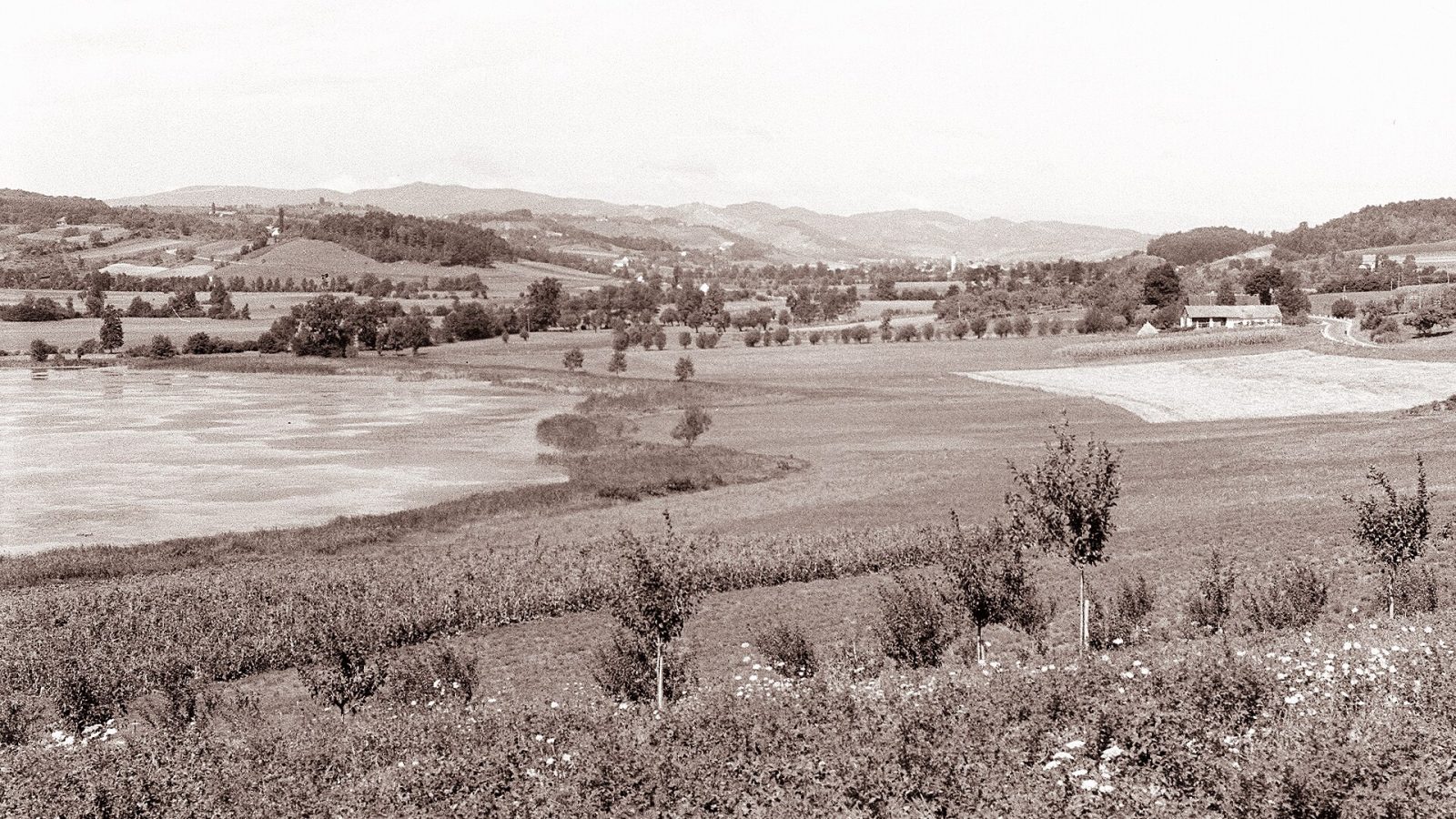 Jezero Komarnik
