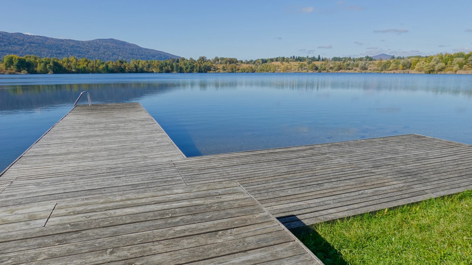 Kočevsko jezero – sprehod s psom ob vodi