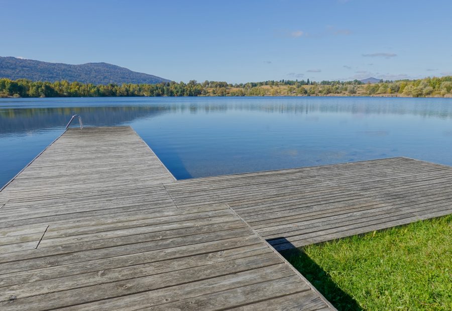 Kočevsko jezero – sprehod s psom ob vodi