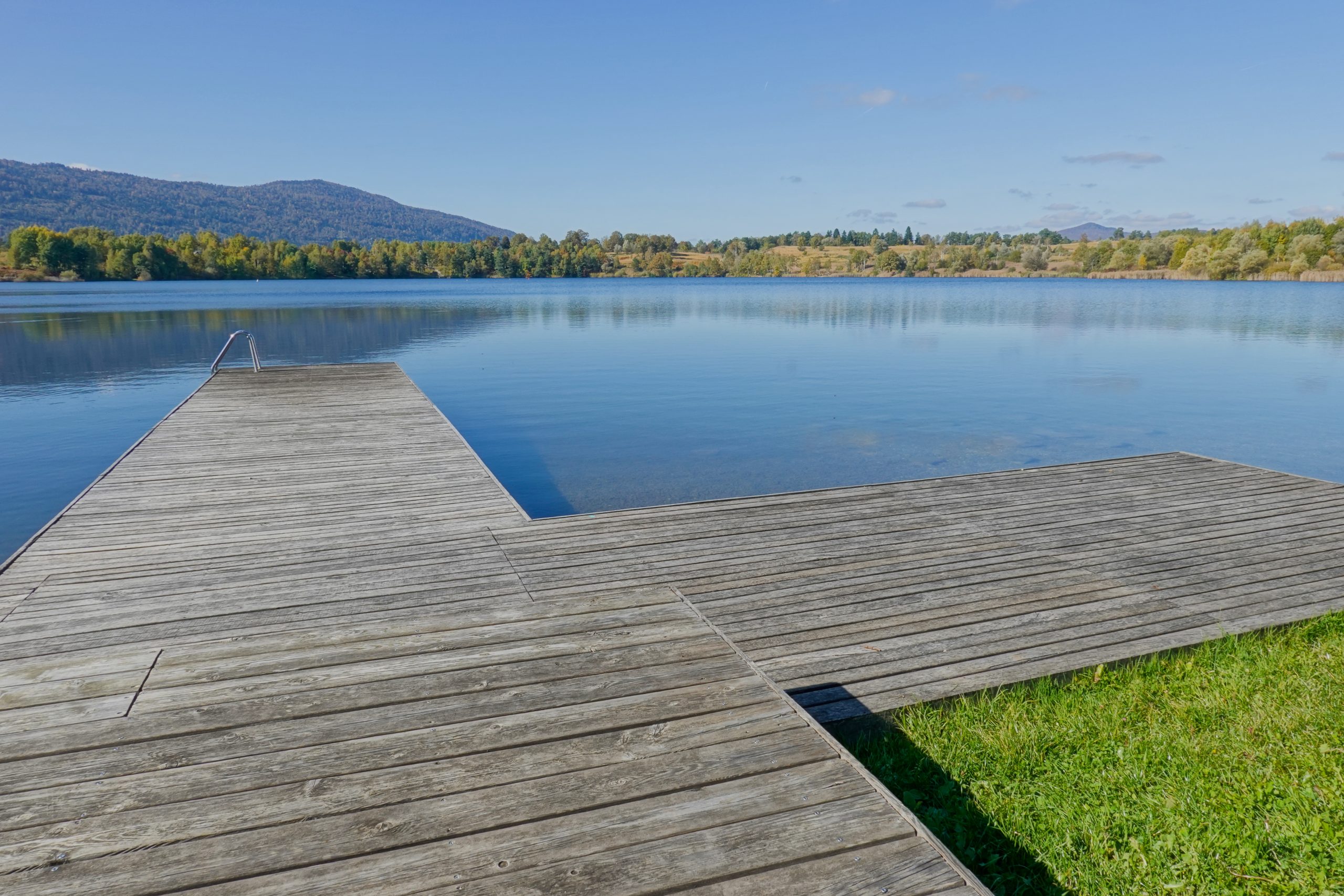 Kočevsko jezero – sprehod s psom ob vodi