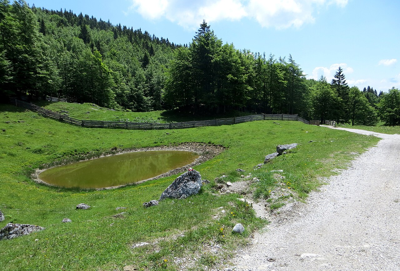 Menina planina s pašnikom in vodo