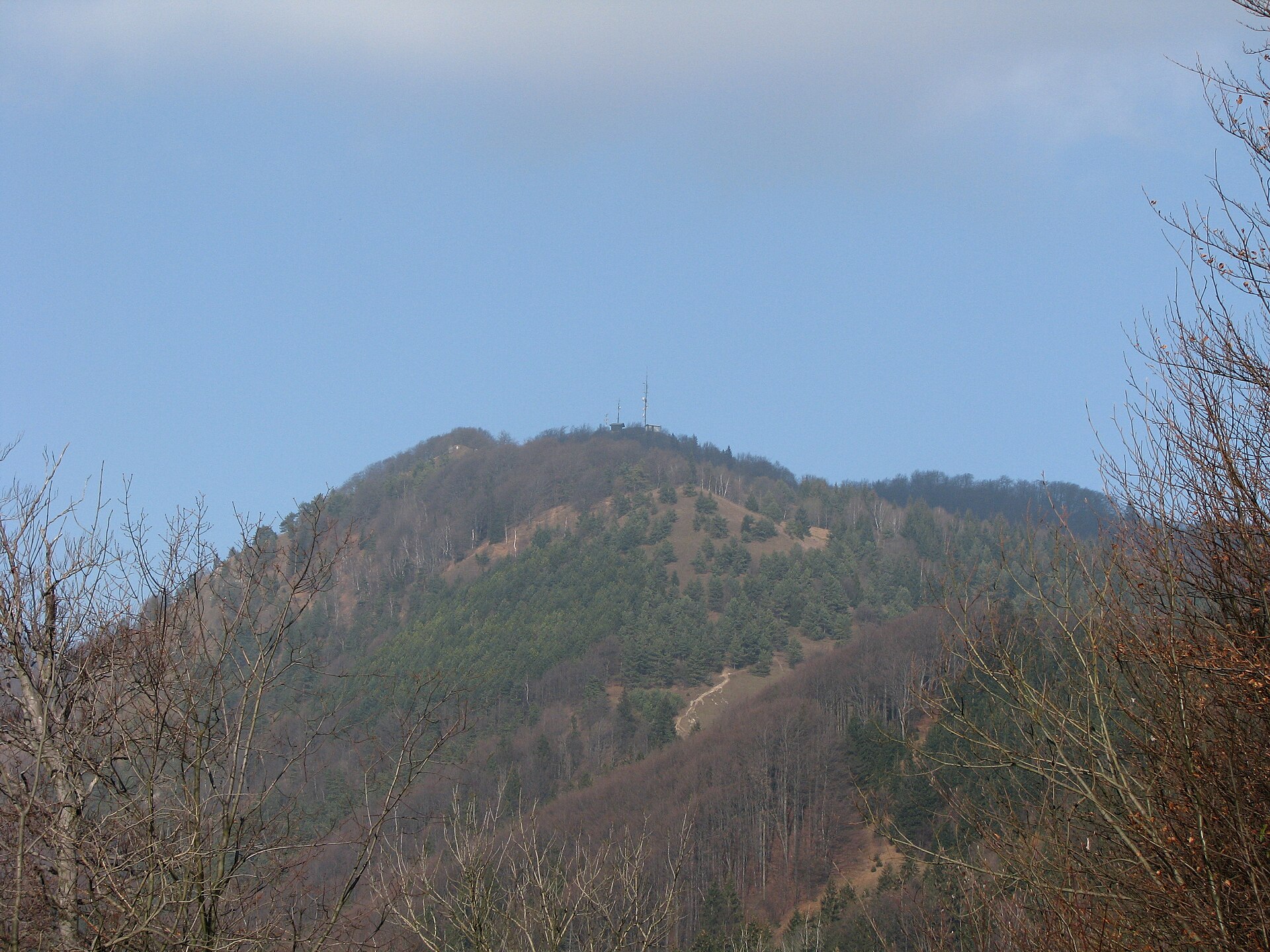Mrzlica