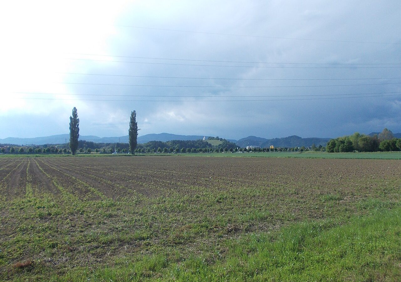 Pekrska gorca - Pekrska gorca 01