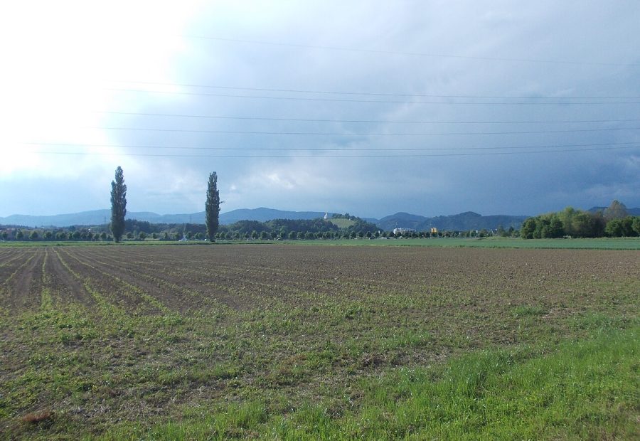 Pekrska gorca - Pekrska gorca 01