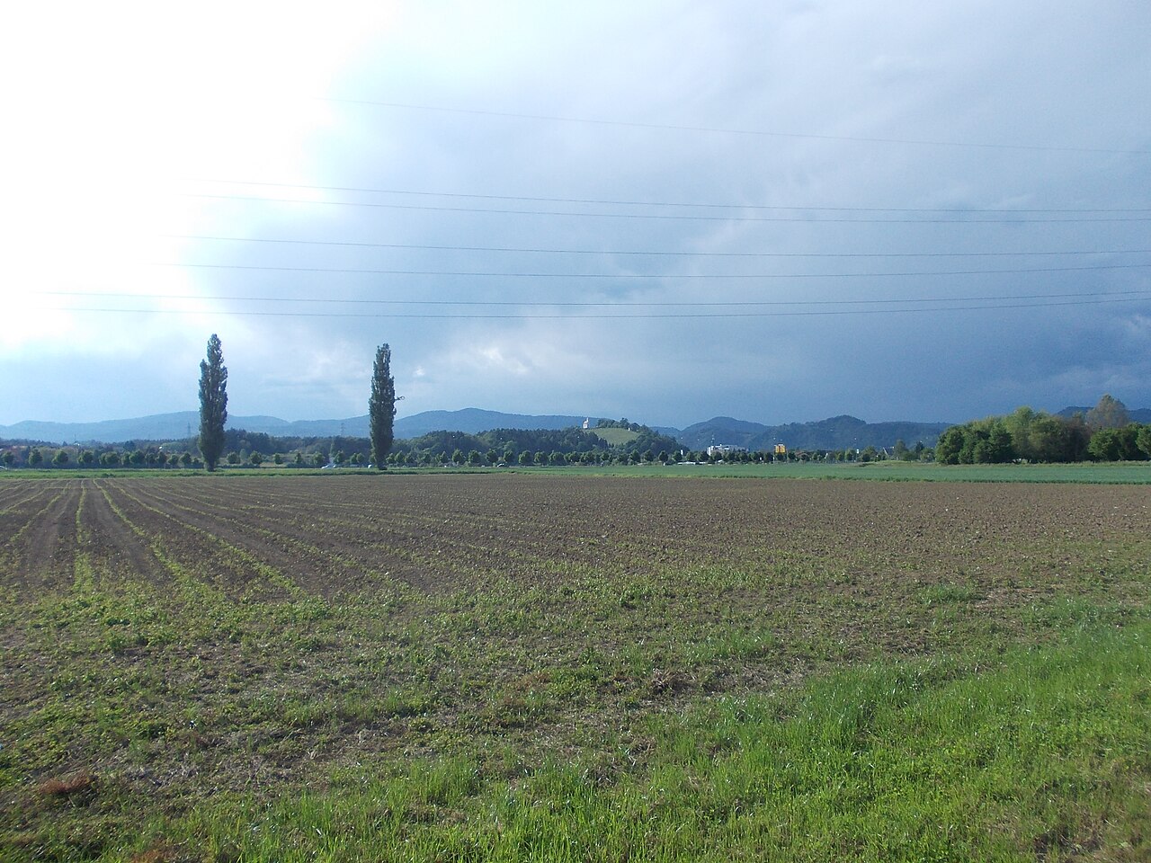Pekrska gorca
