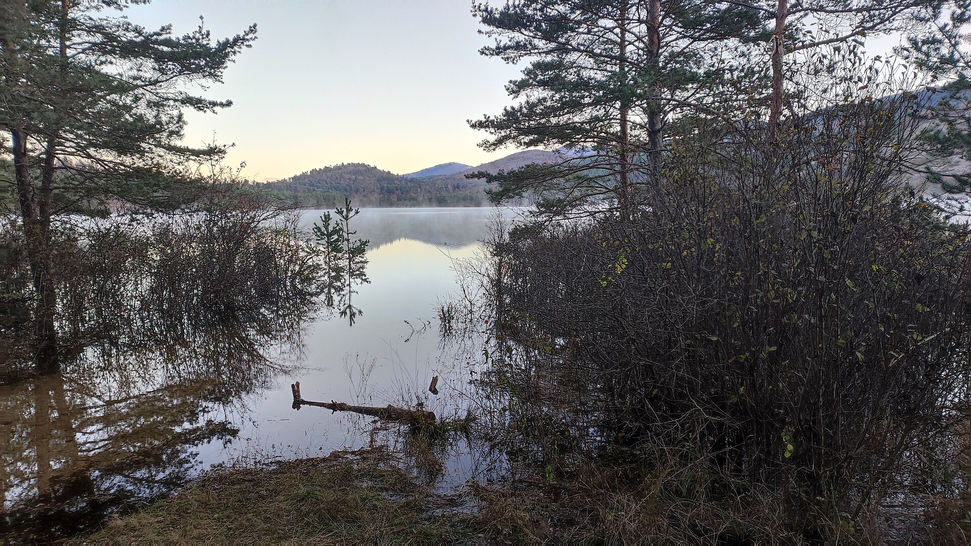 Petelinjsko jezero