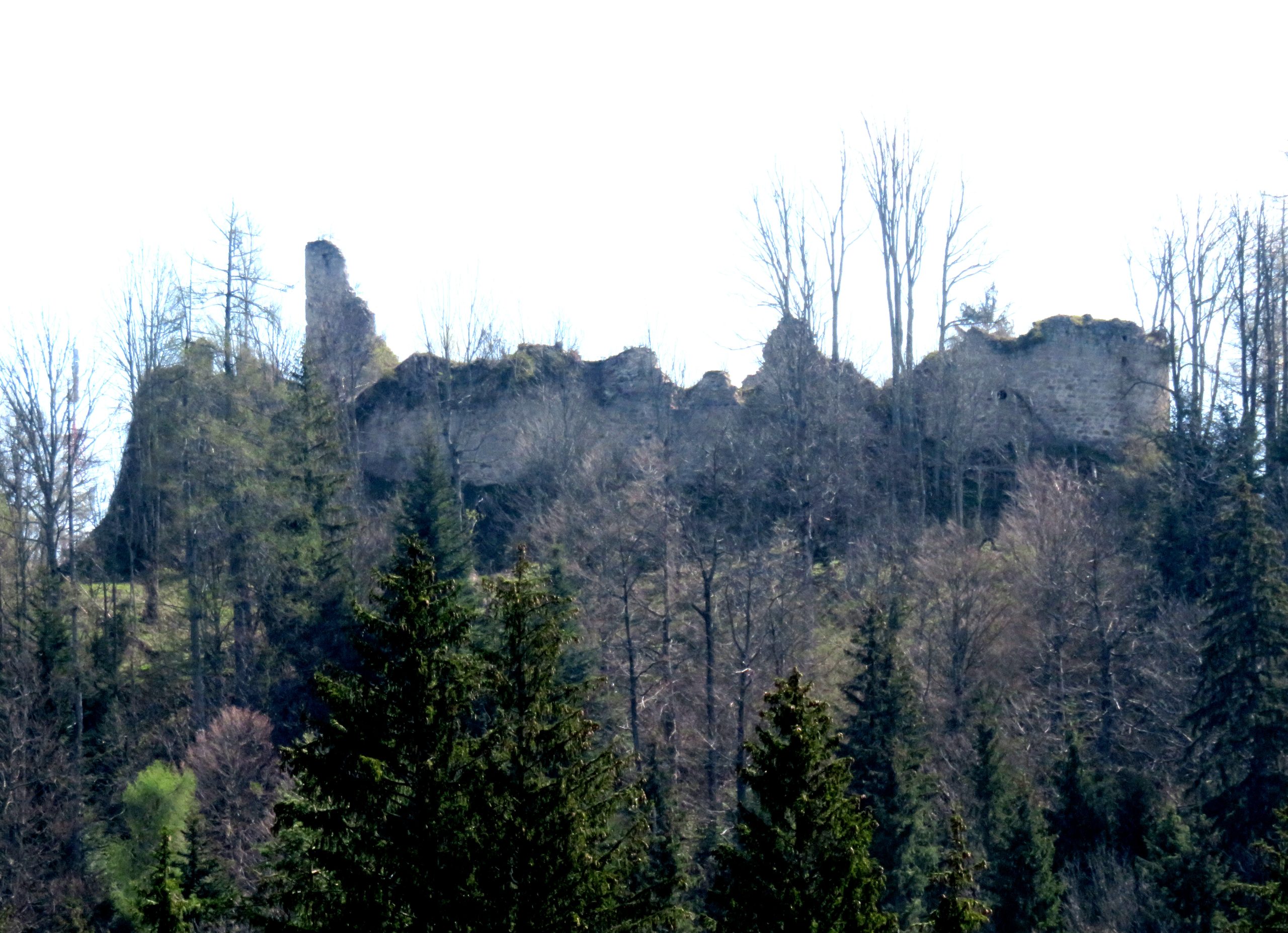 Ribniški grad – utrinek izleta