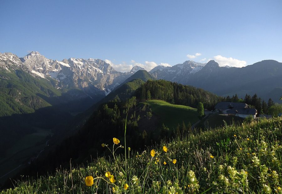 Solčavska panoramska cesta z razgledom na gore