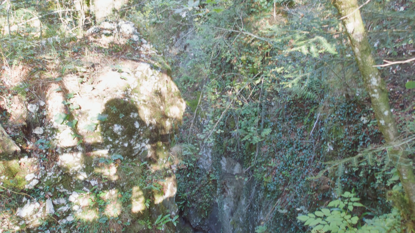 Soteska Predaselj - osvežilen izlet za vroče dni