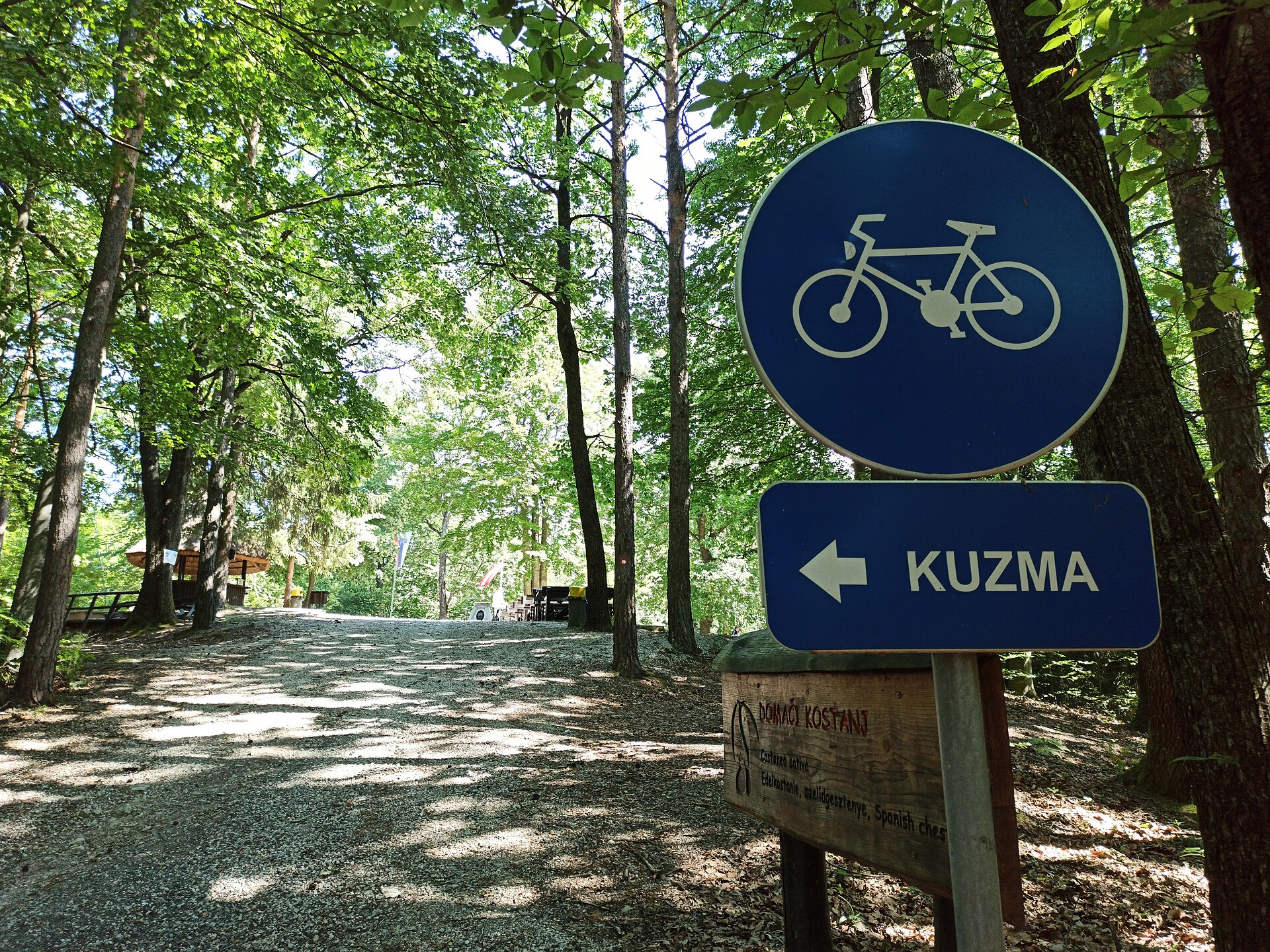 Tromejnik Kuzma