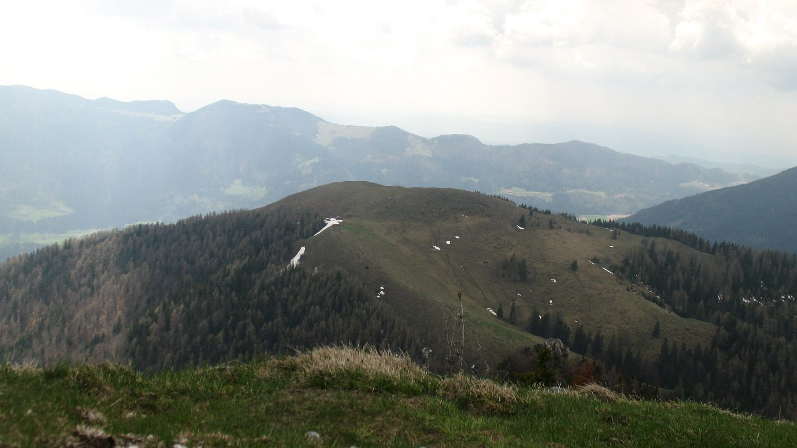 Veliki Rogatec