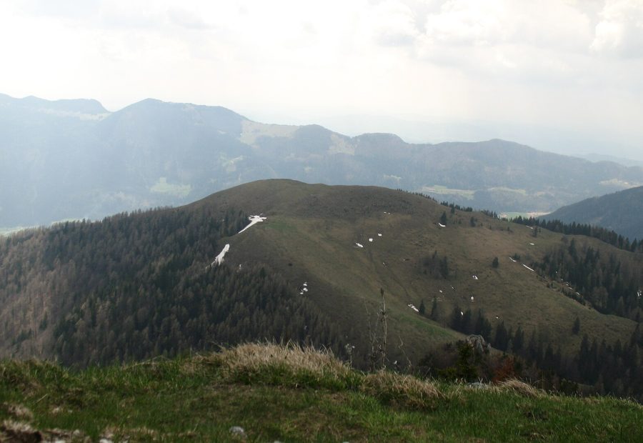 Veliki Rogatec