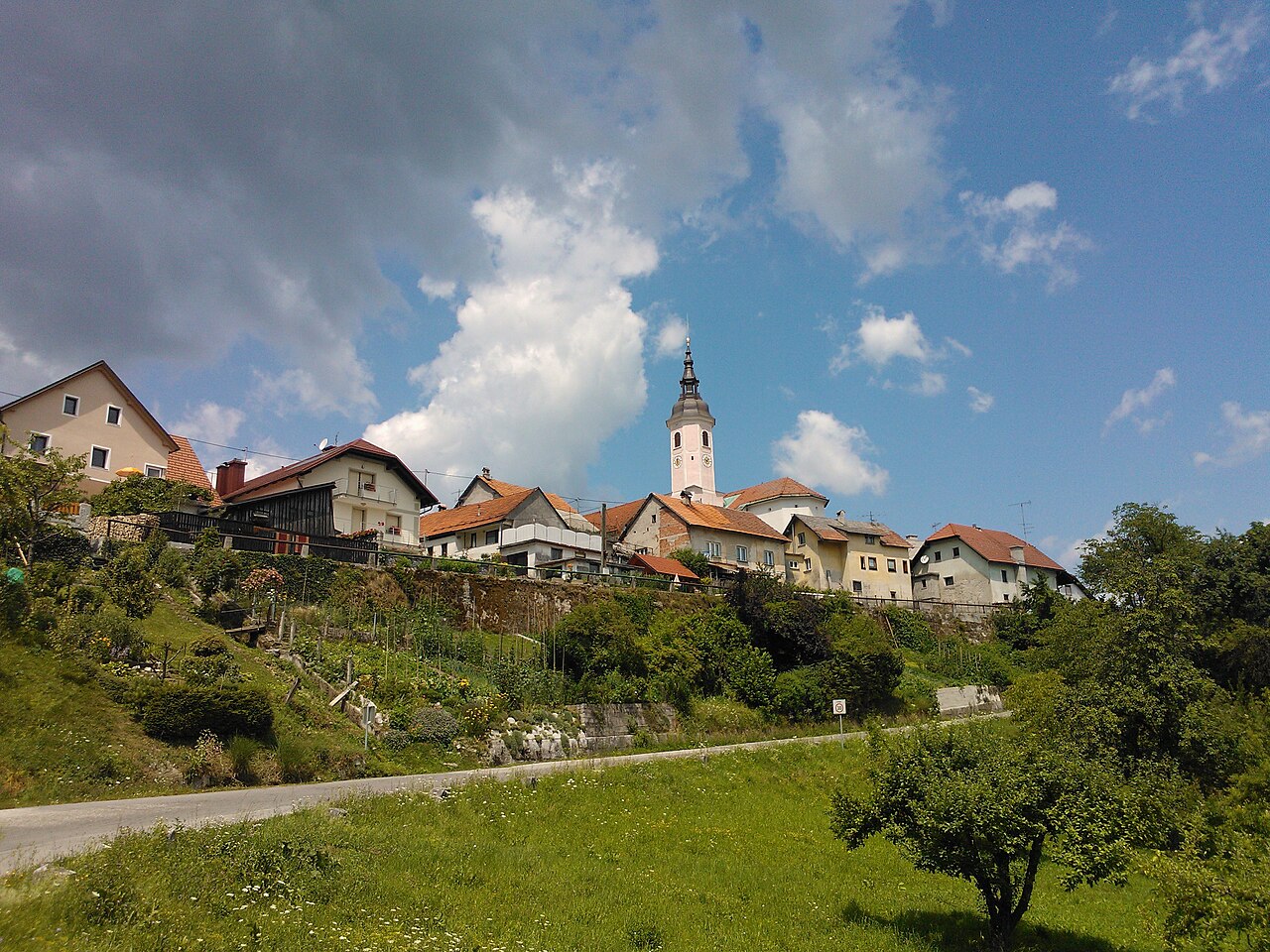Višnja Gora