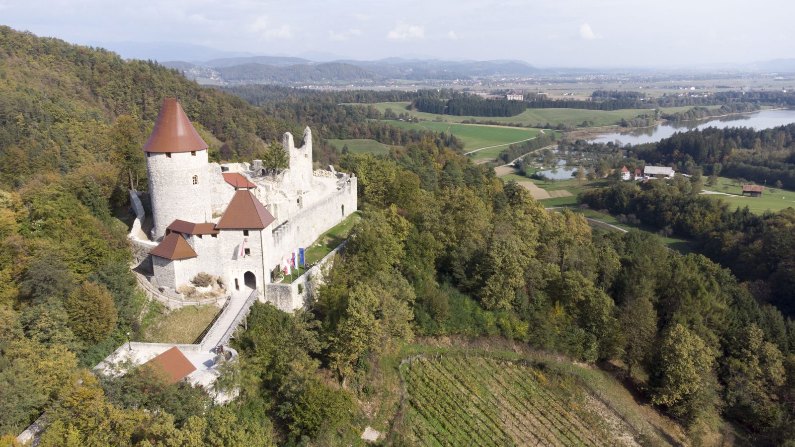Žovneško jezero – miren sprehod s psom ob vodi