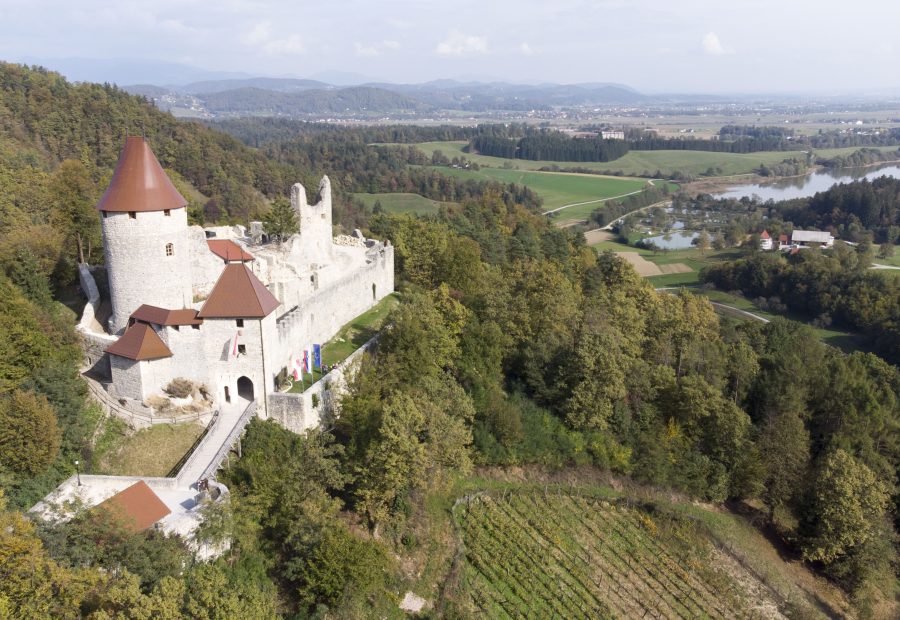 Žovneško jezero – miren sprehod s psom ob vodi