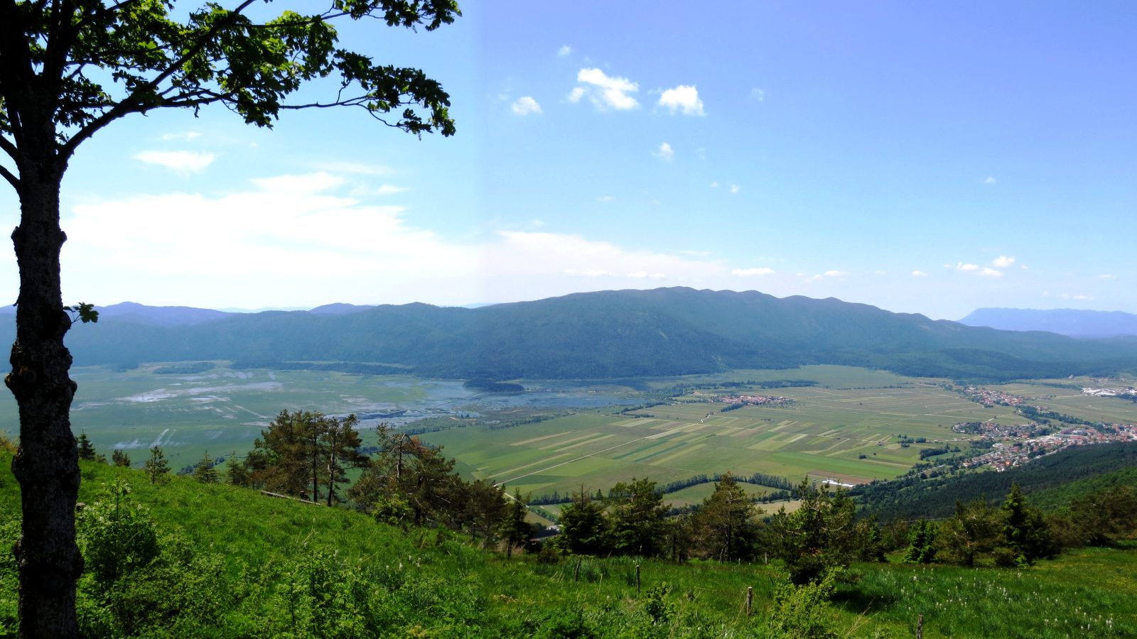 Slivnica nad Cerknico