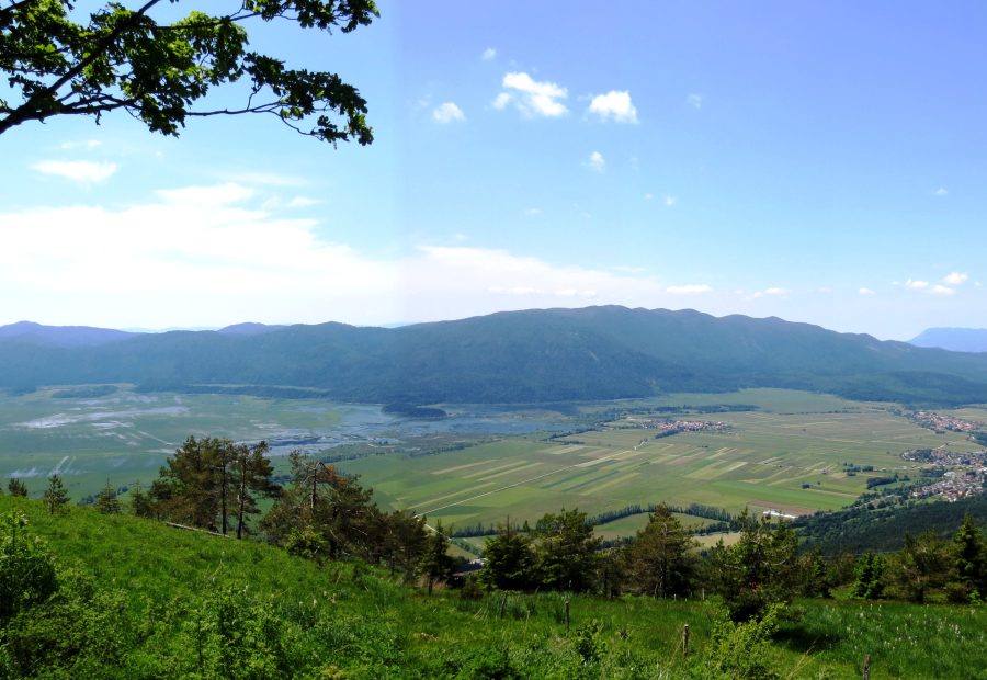 Slivnica nad Cerknico