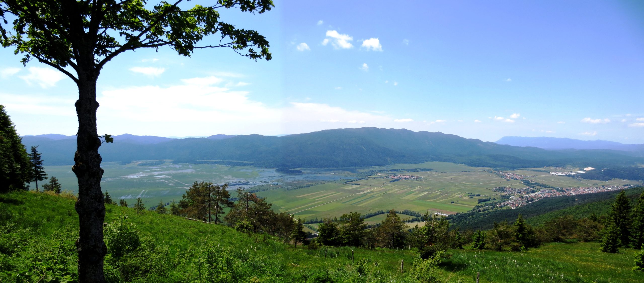Slivnica nad Cerknico
