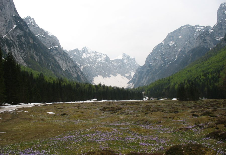 Dolina Krma