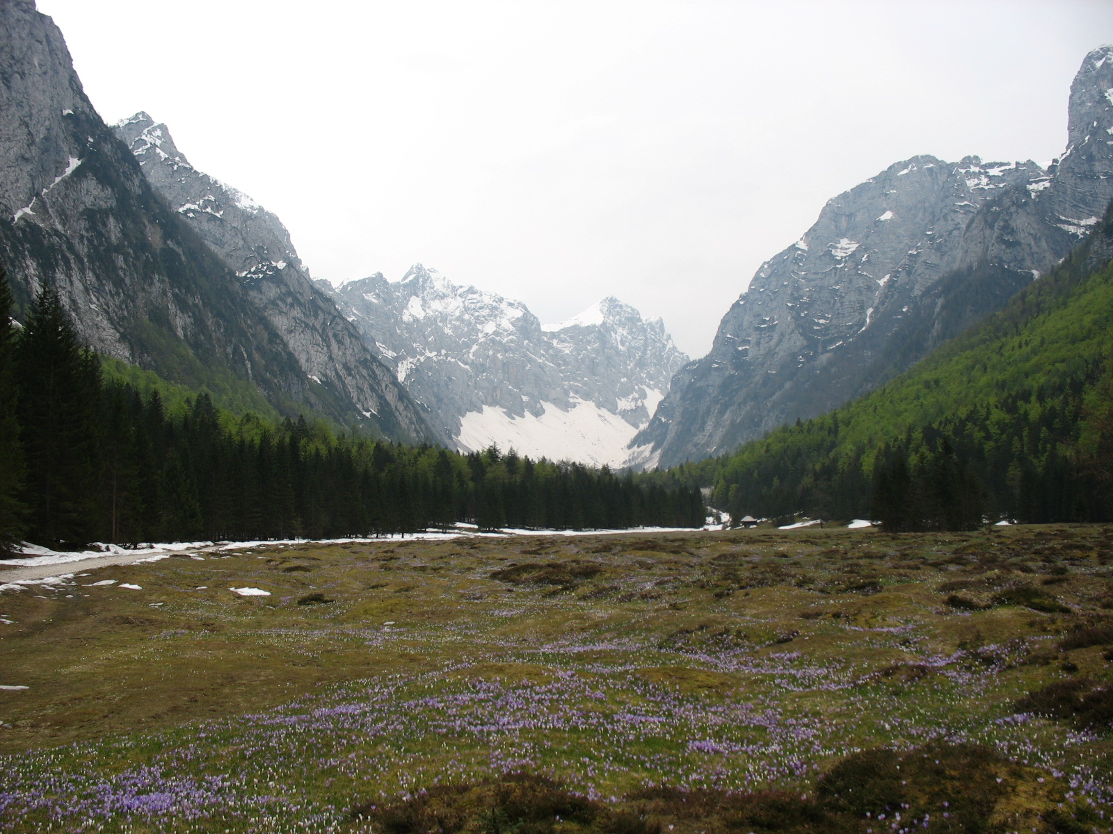 Dolina Krma