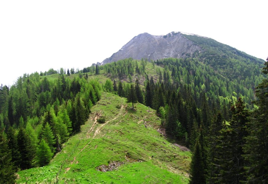 Dovška Baba