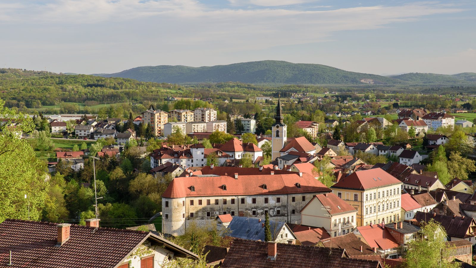 Grad Metlika