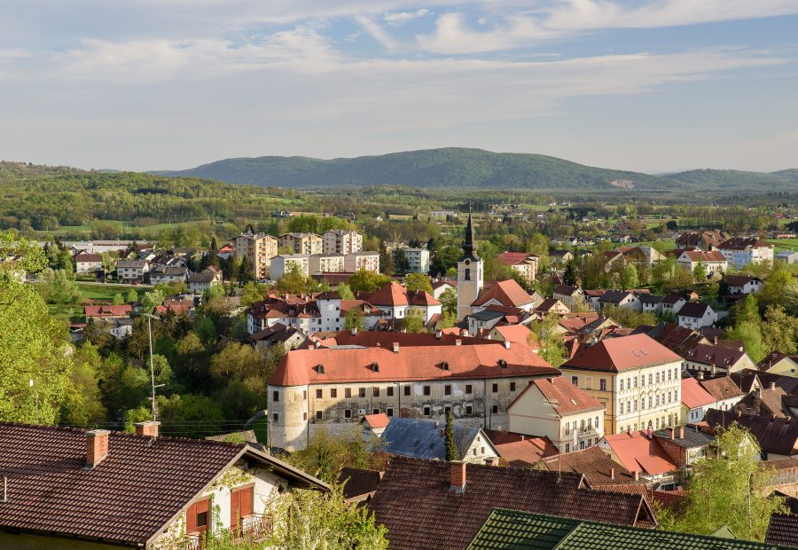 Grad Metlika