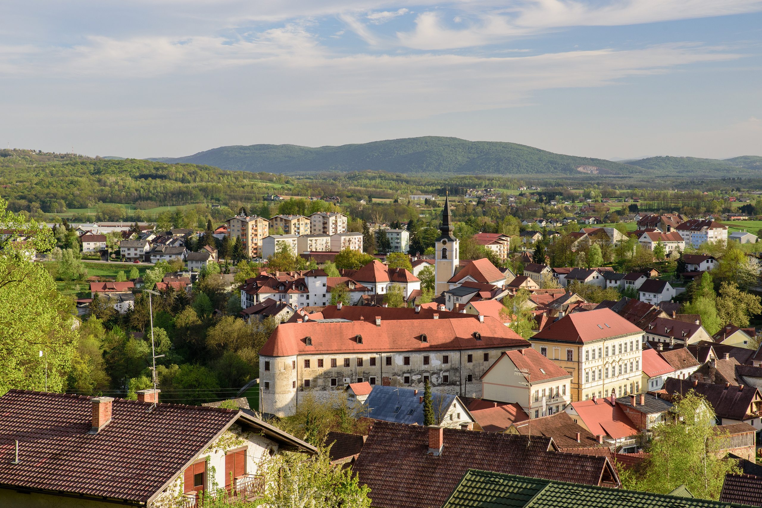 Grad Metlika