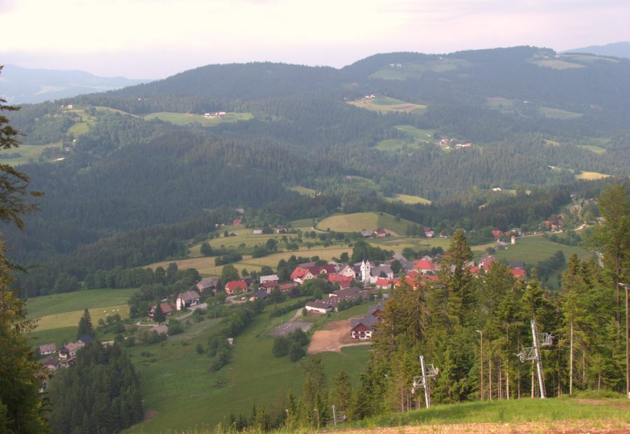 Ribnica na Pohorju