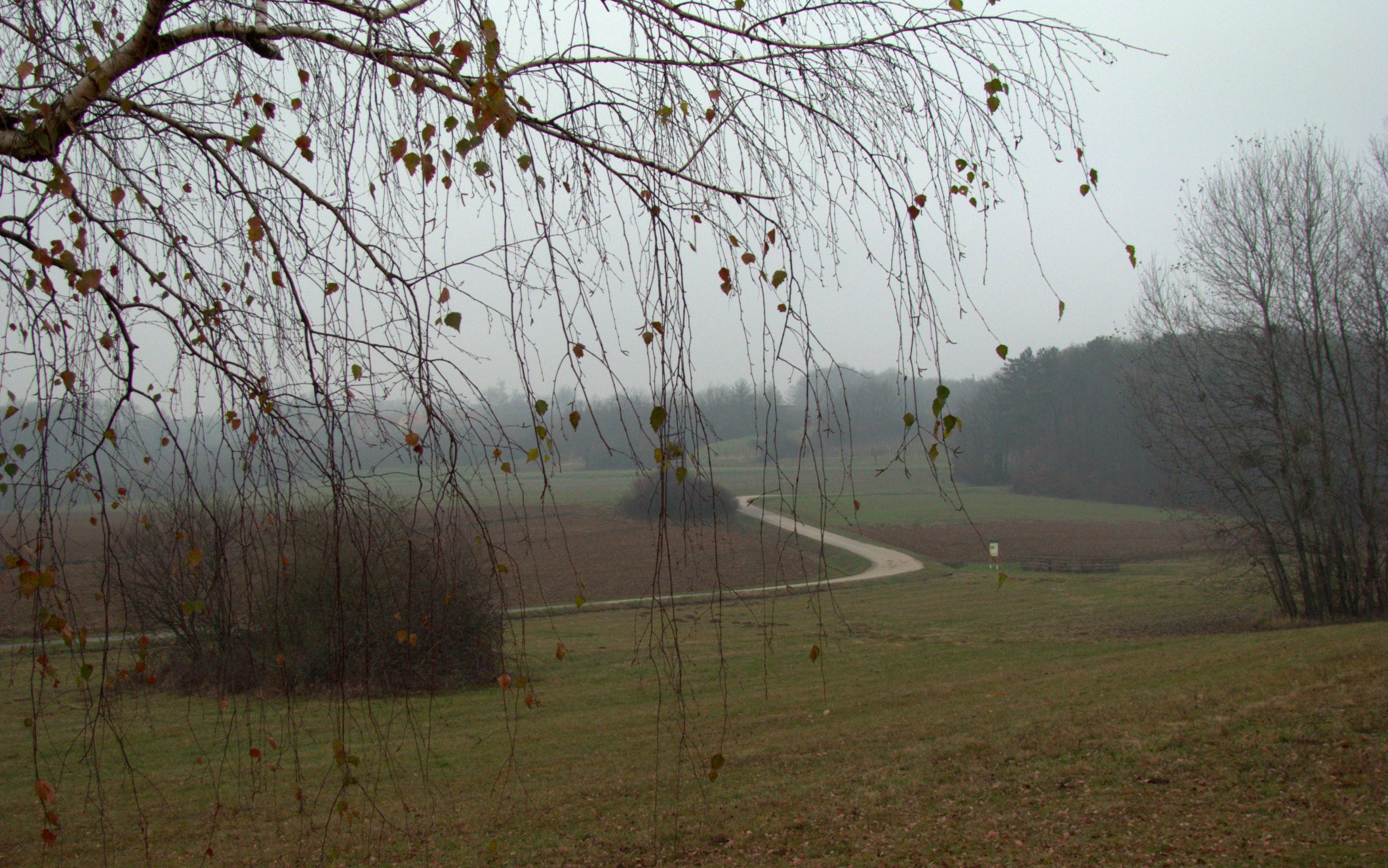 Rotunda Selo