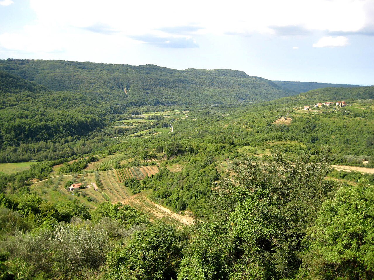 Dolina Dragonje
