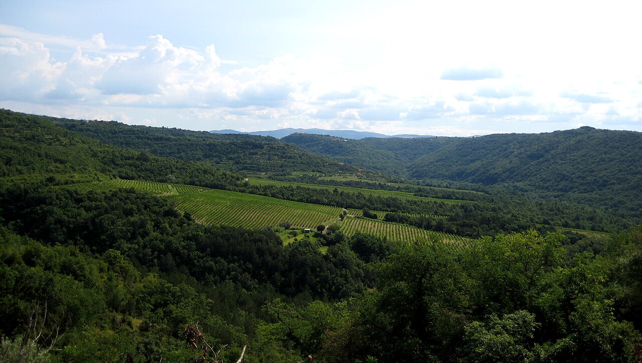 Dolina Dragonje - fotografija izleta