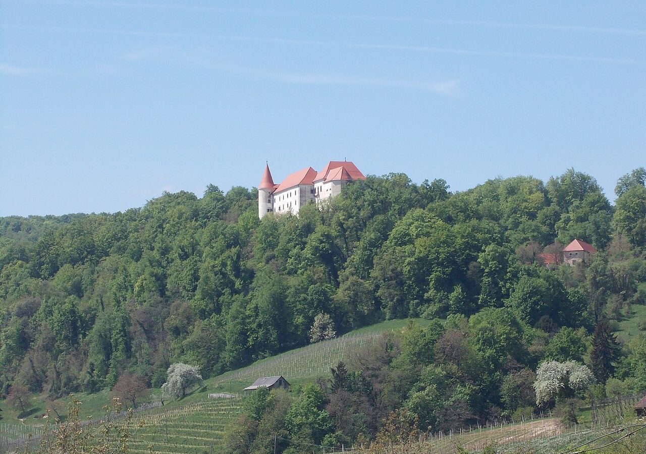 Grad Bizeljsko nad Bizeljsko vasjo