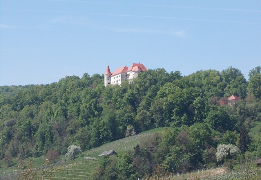 Grad Bizeljsko nad Bizeljsko vasjo