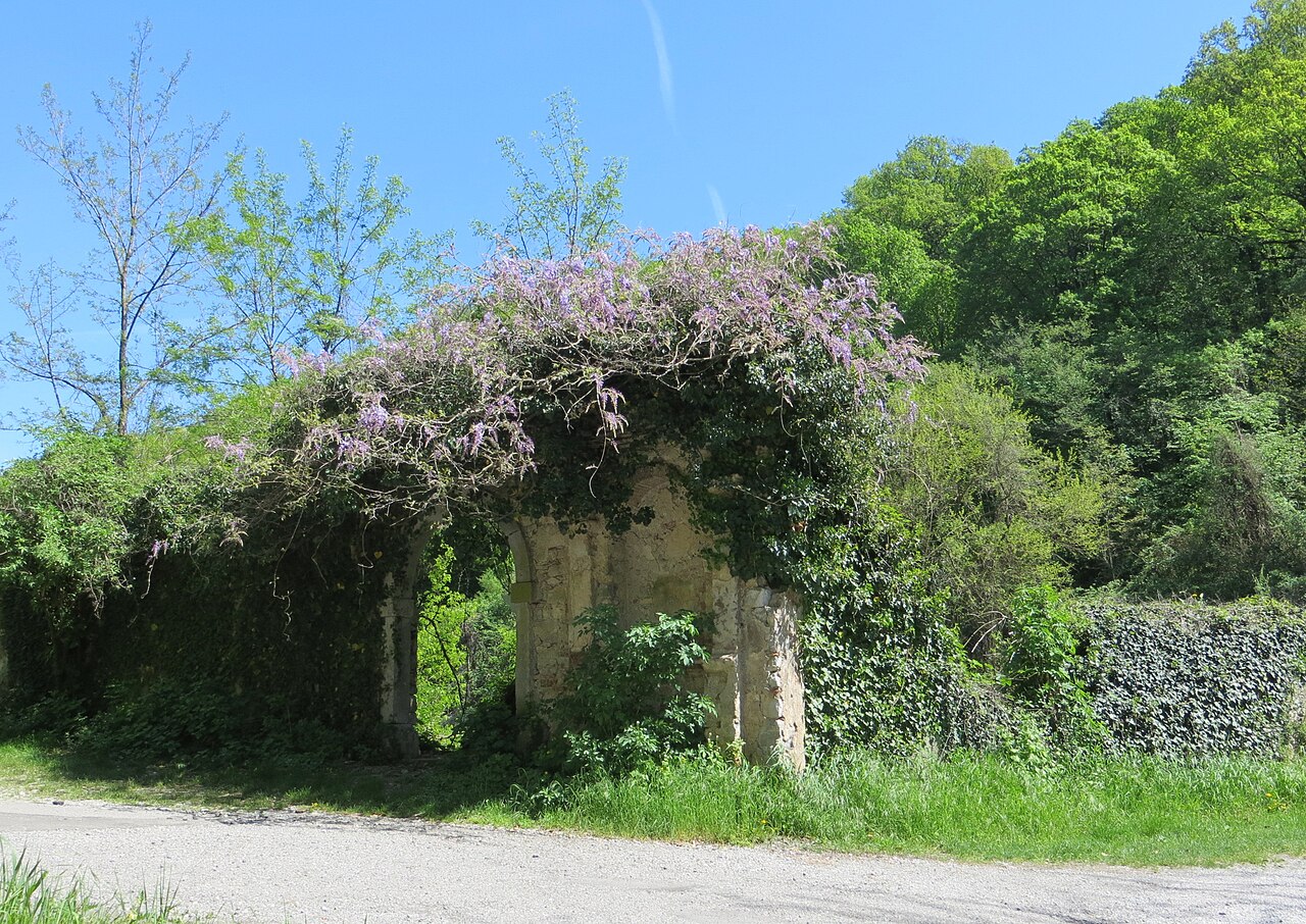 Grad Rihemberk nad Branikom
