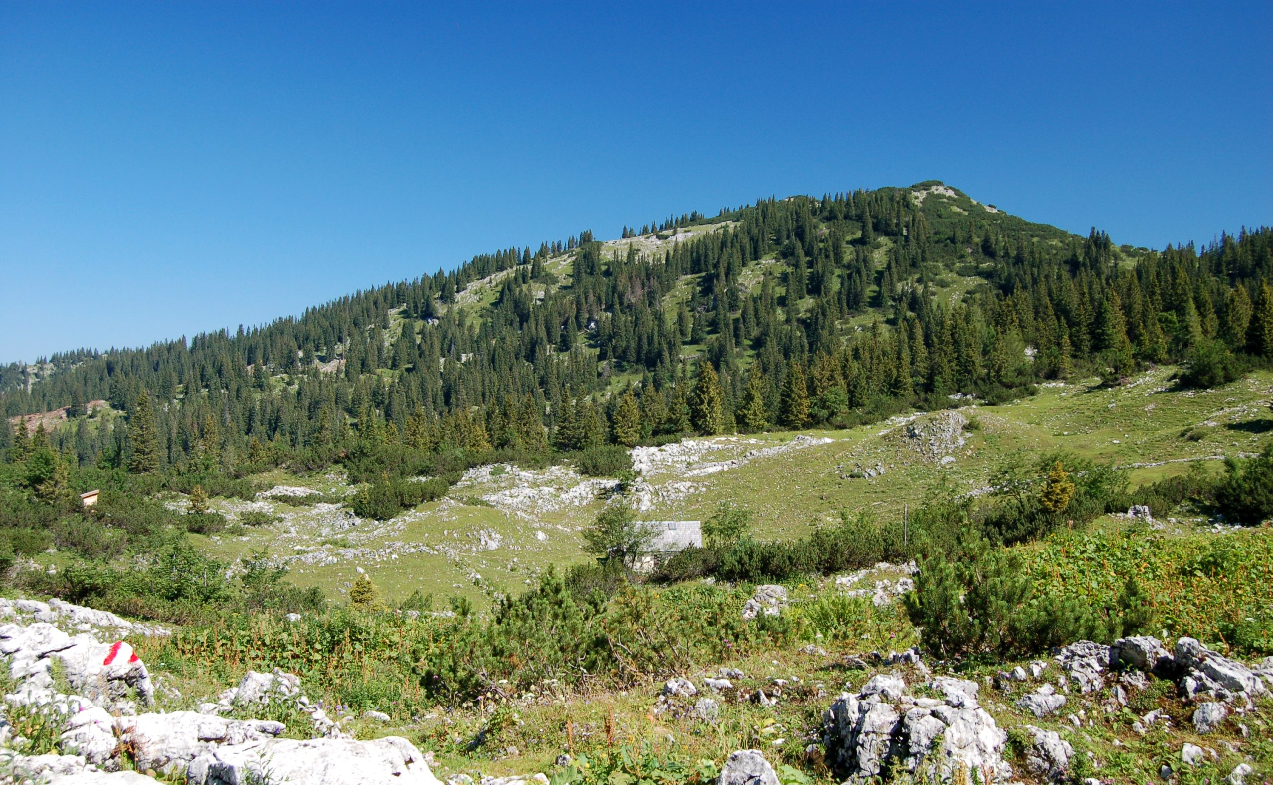 Košenjak