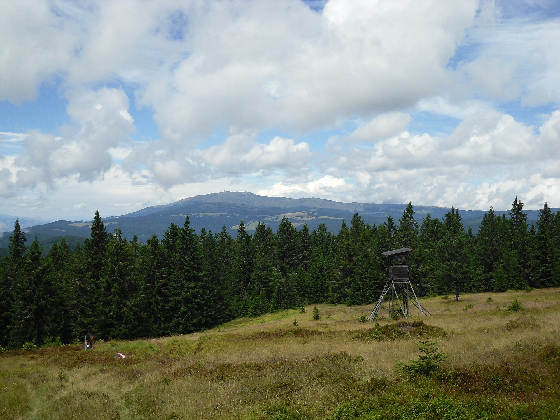 Košenjak - pogled na Golico