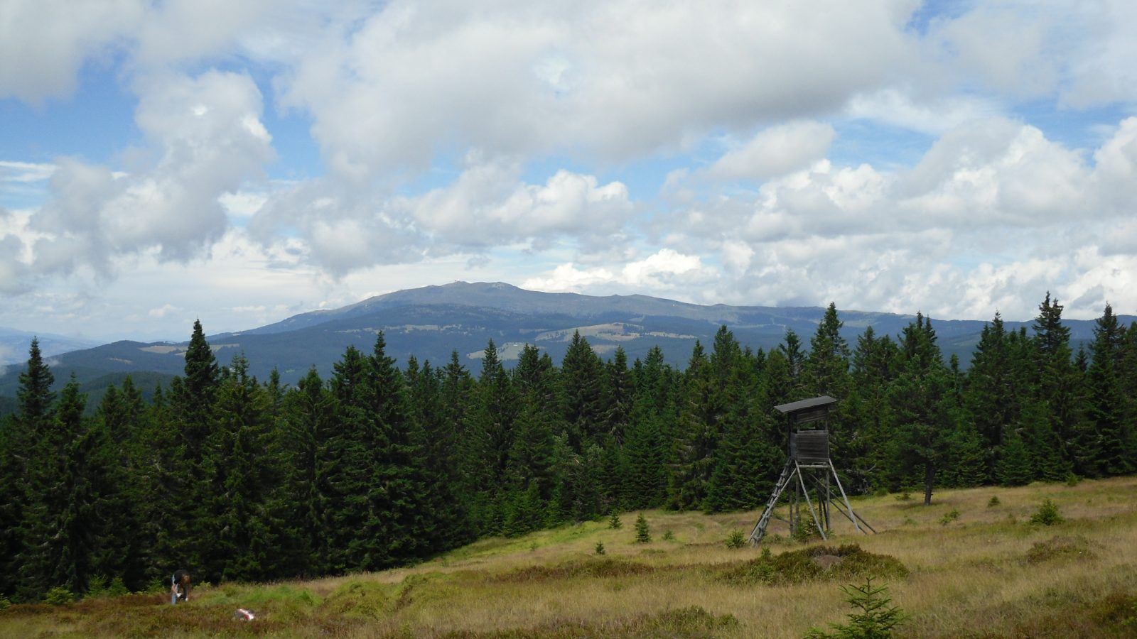 Košenjak