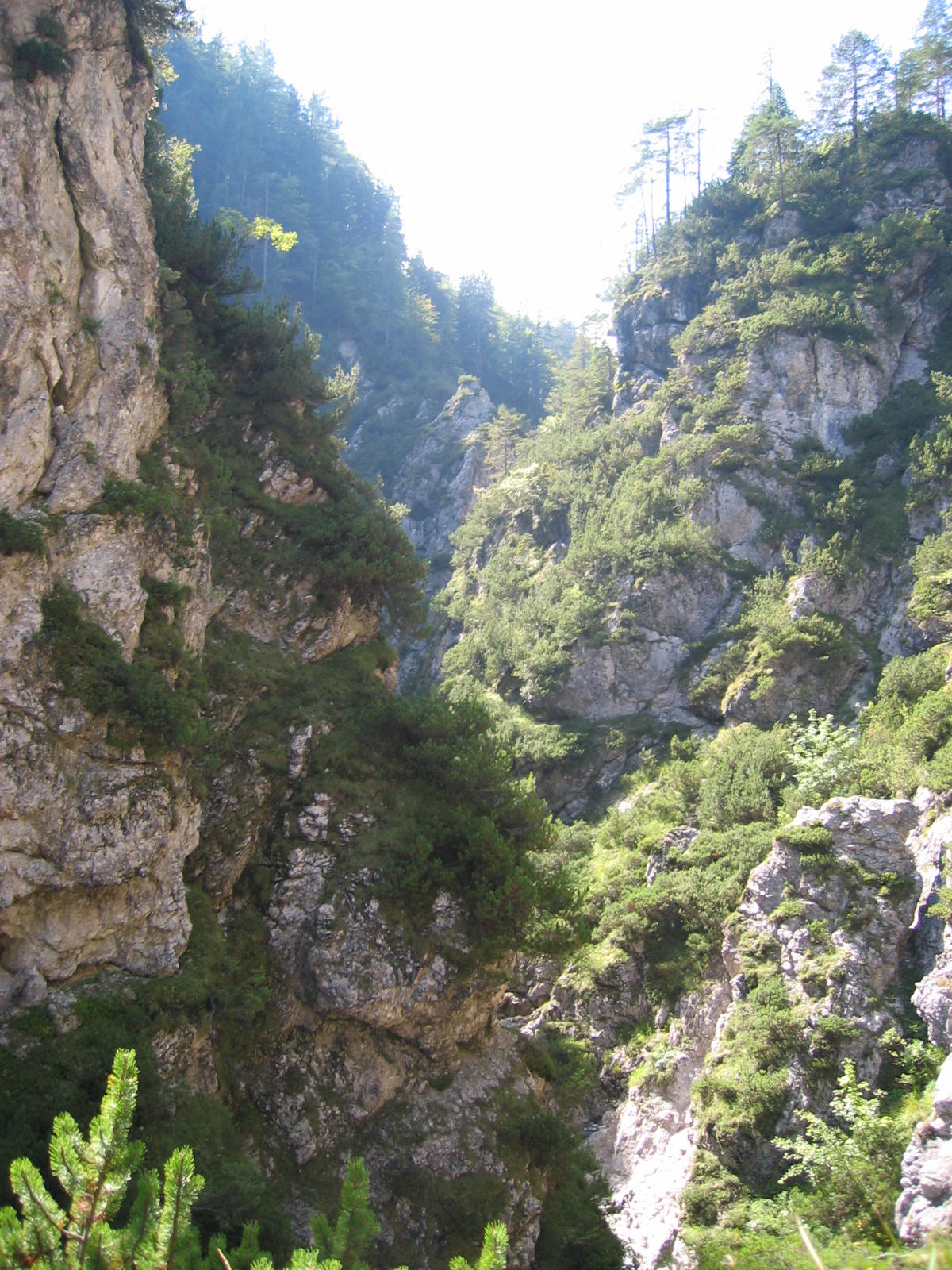 Mala Pišnica