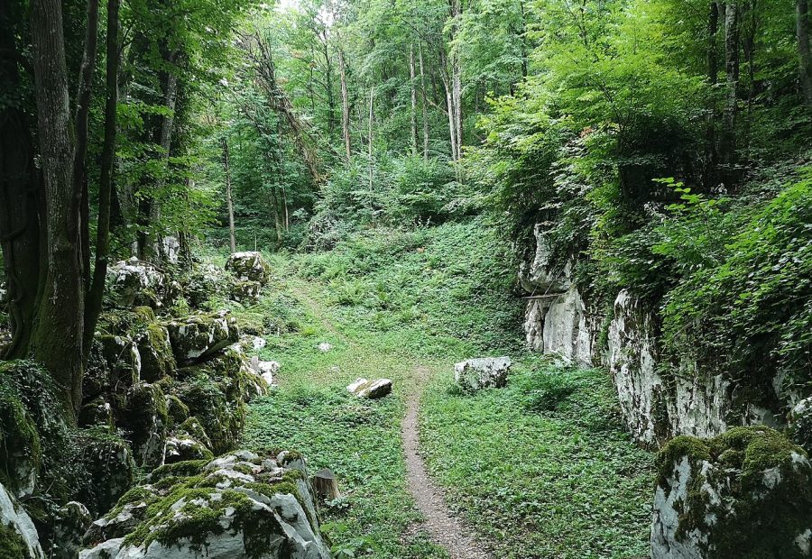 Mitrej nad Rožancem - fotografija izleta