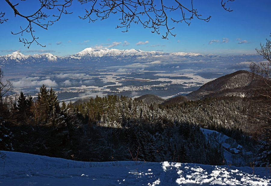 Osolnik nad Medvodami