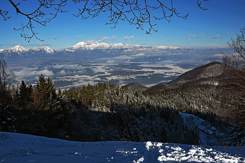 Osolnik nad Medvodami