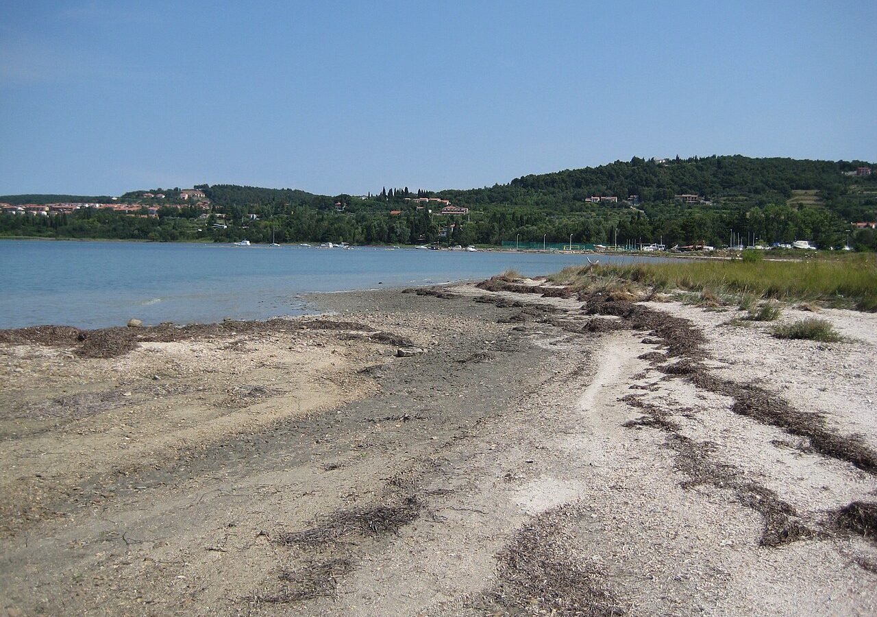 Pokopališče školjk - izlet na napotep.si