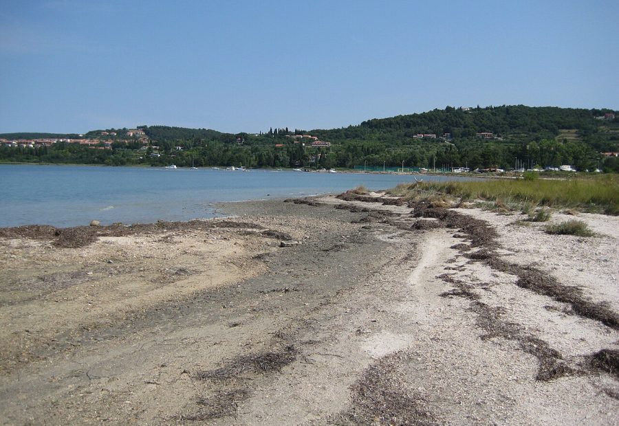 Pokopališče školjk - izlet na napotep.si