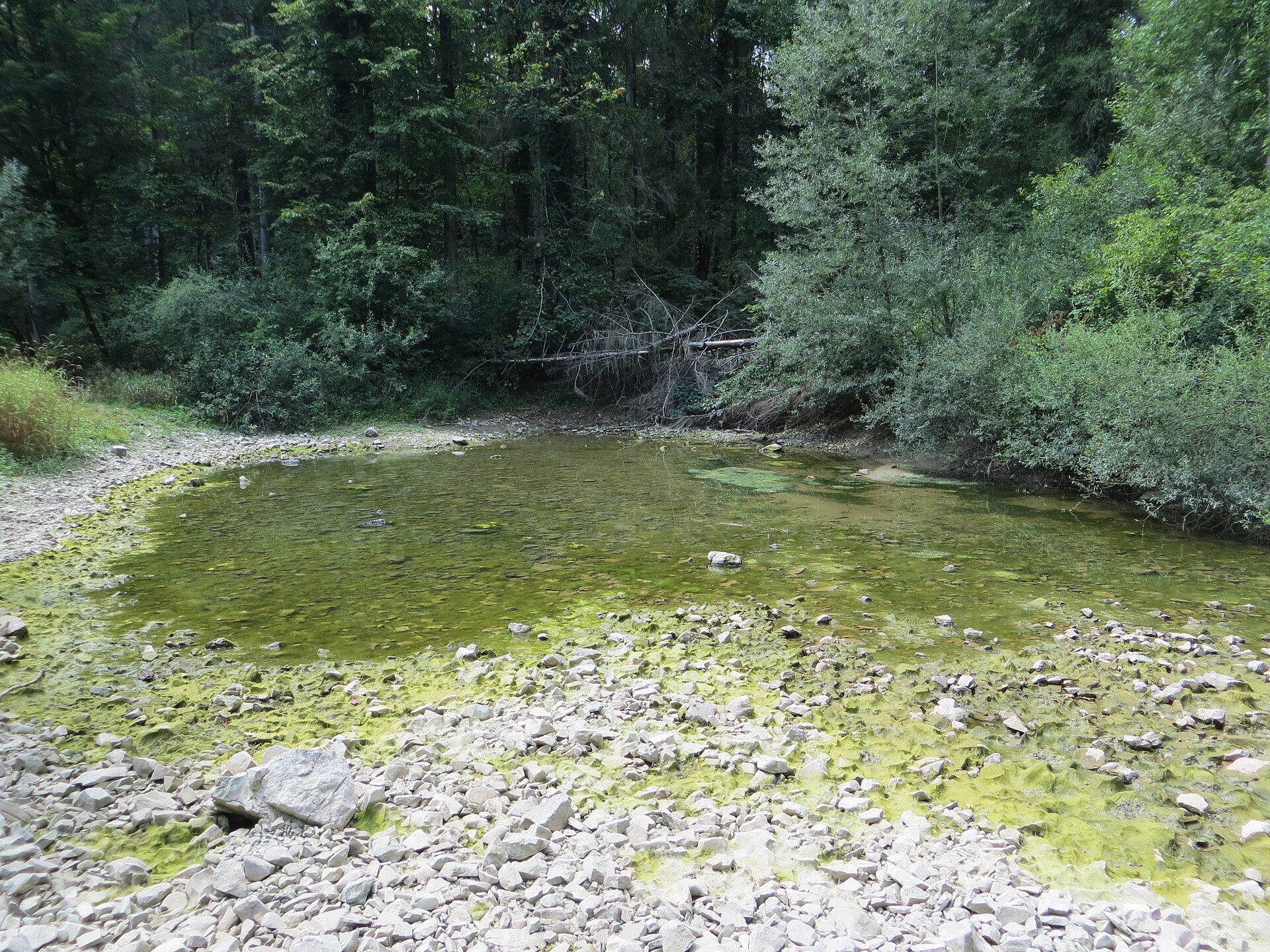 Little Spring (Malo okence; part of Retovje Springs) in Mirke, Municipality of Vrhnika, Slovenia