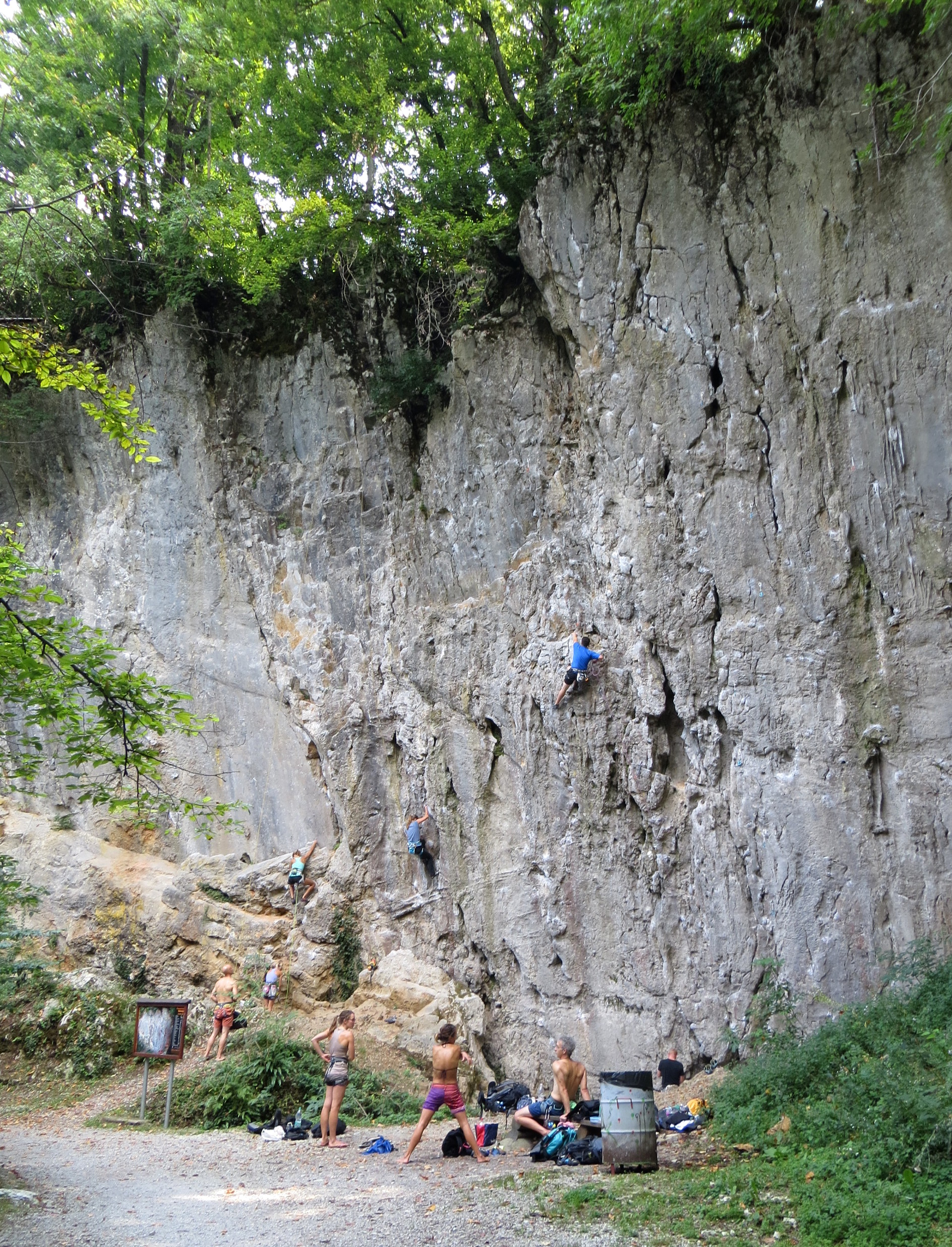 Rock wall above Cliff Spring (Pod skalo; part of Retovje Springs) in Verd, Municipality of Vrhnika, Slovenia
