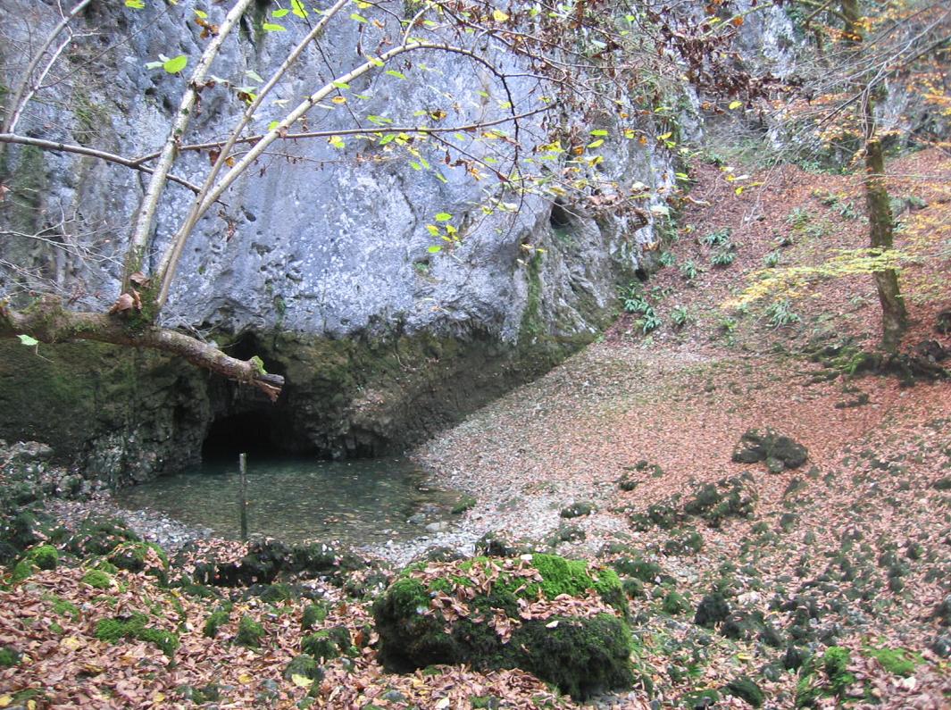 Veliko okence («big window»), south of Vrhnika, ca. 20km west of Slovenia's capital Ljubljana. One of several karst springs, which feed river Ljubljanica. In f