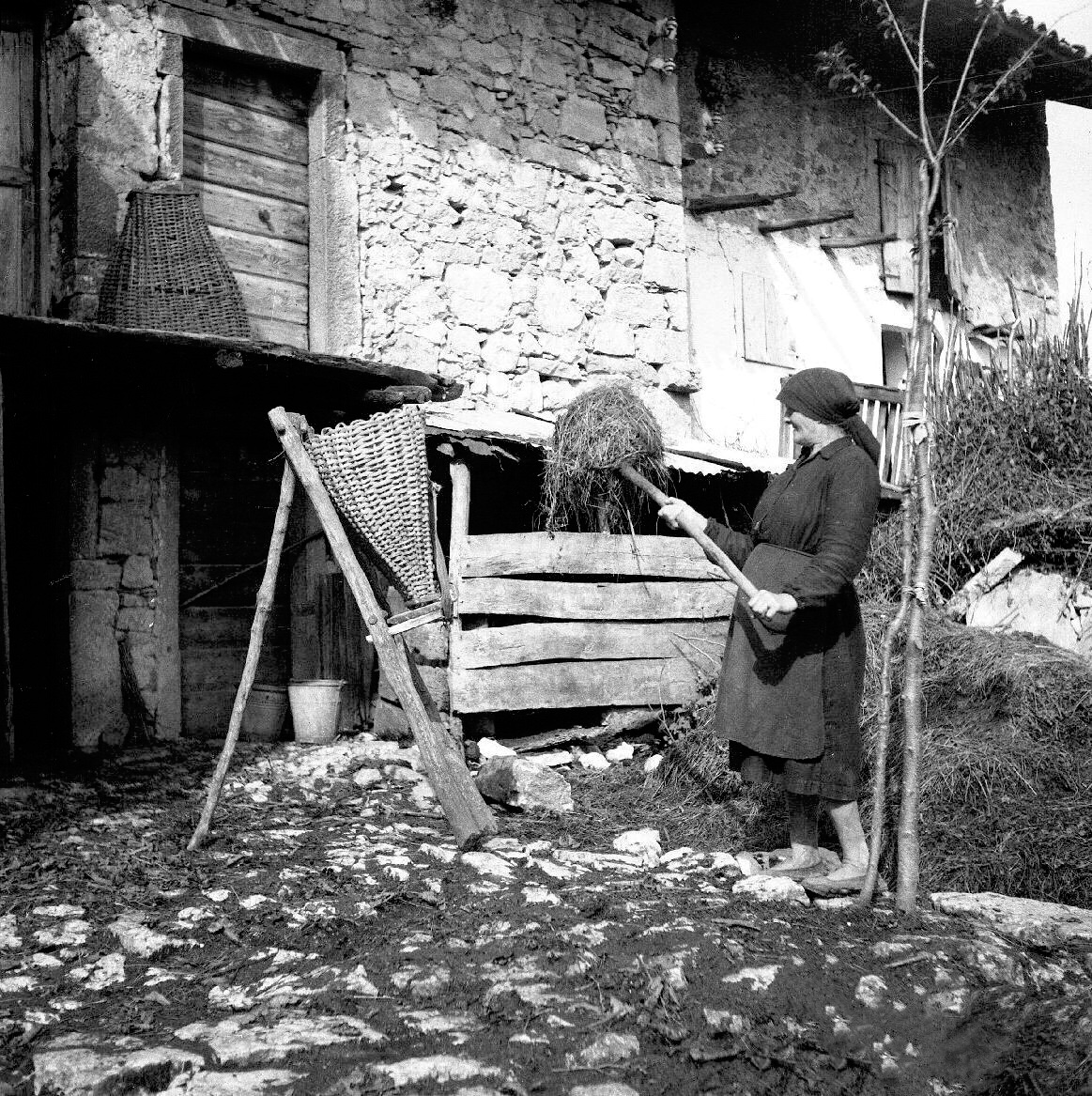 Robidišče