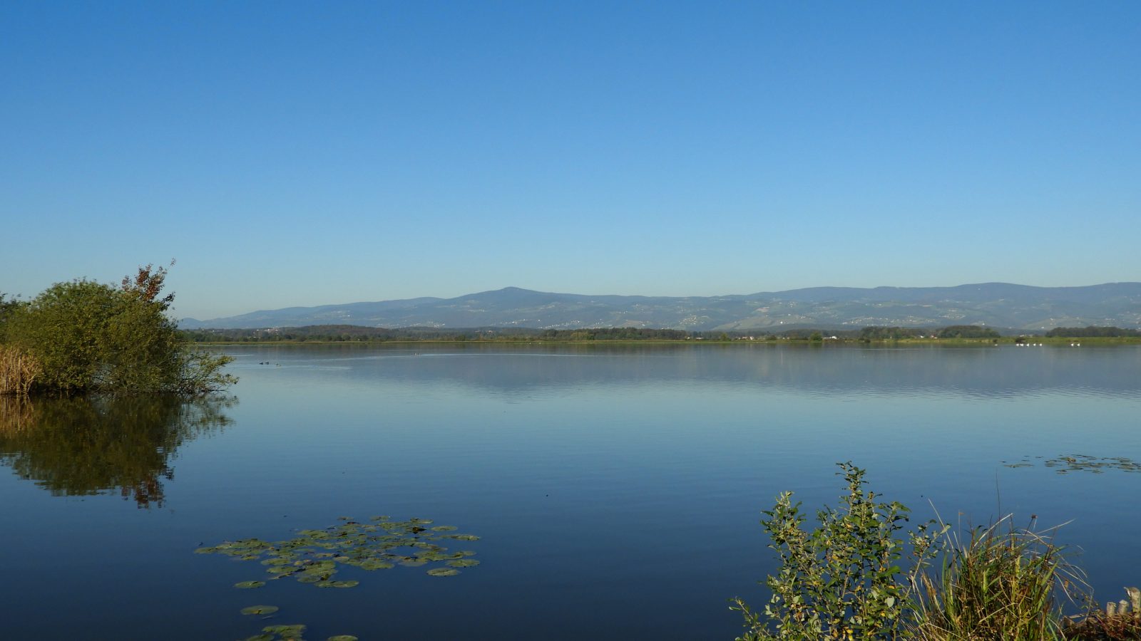 Sestrsko-jezero